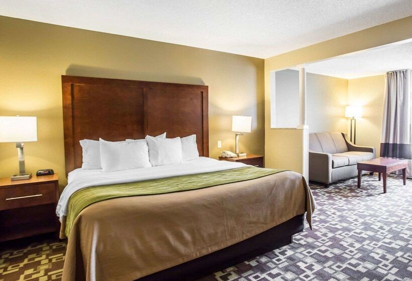 호텔 Comfort Inn & Suites Walterboro I95