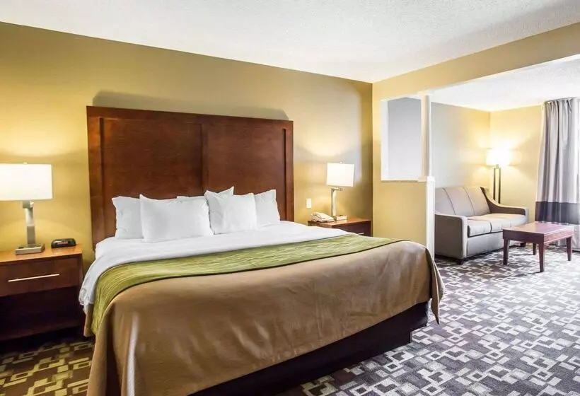 酒店 Comfort Inn & Suites Walterboro I95