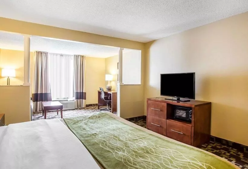 酒店 Comfort Inn & Suites Walterboro I95