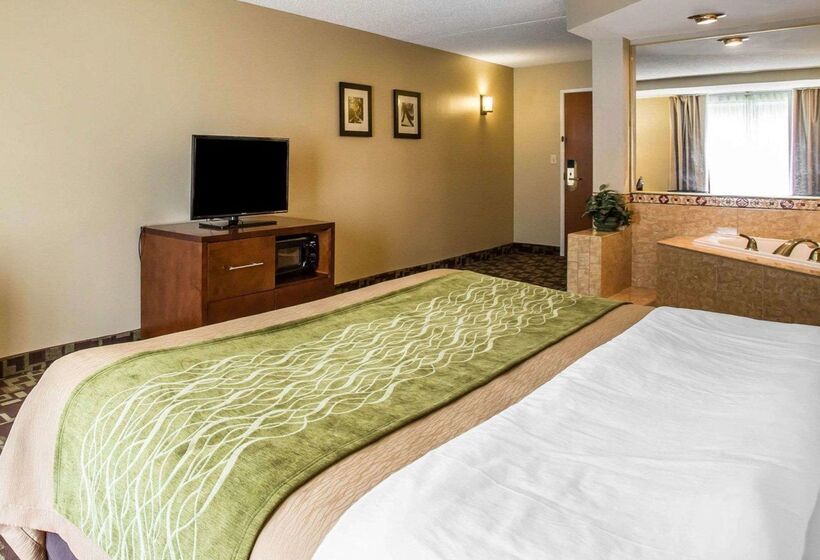 호텔 Comfort Inn & Suites Walterboro I95