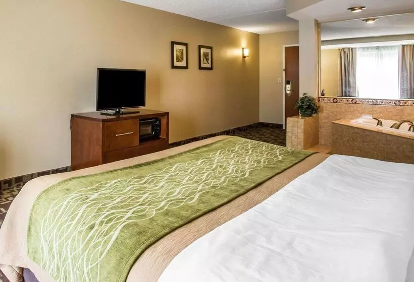 酒店 Comfort Inn & Suites Walterboro I95