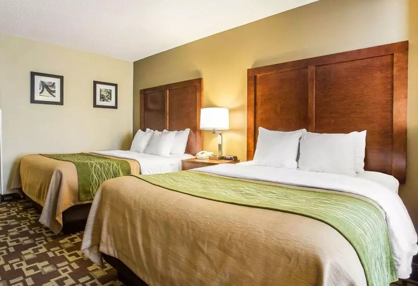 酒店 Comfort Inn & Suites Walterboro I95