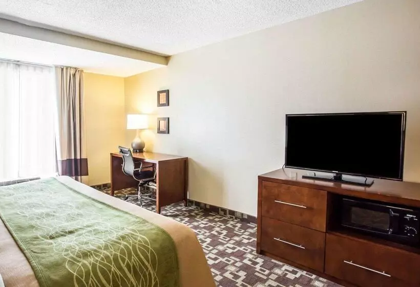 酒店 Comfort Inn & Suites Walterboro I95