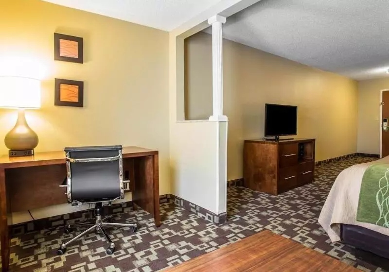 酒店 Comfort Inn & Suites Walterboro I95