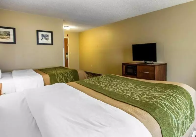 酒店 Comfort Inn & Suites Walterboro I95