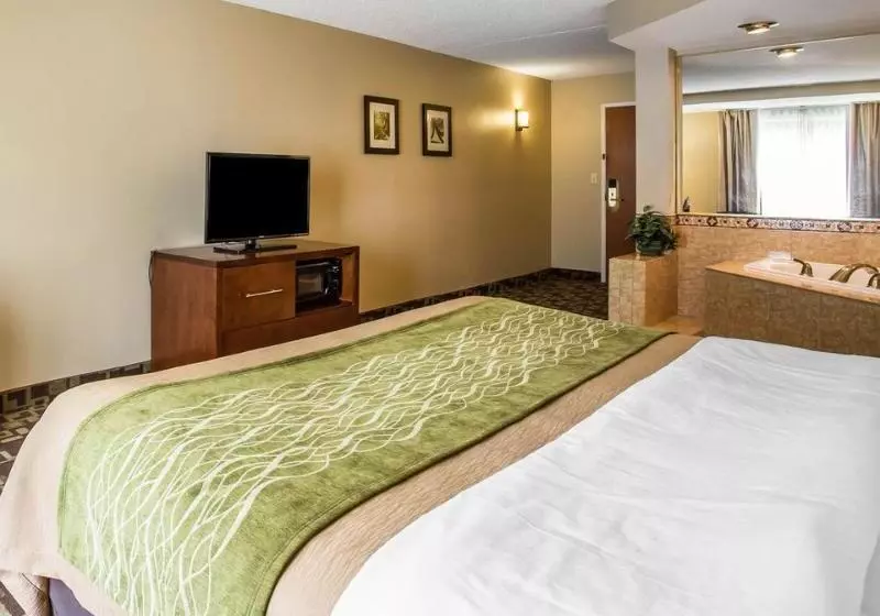 酒店 Comfort Inn & Suites Walterboro I95