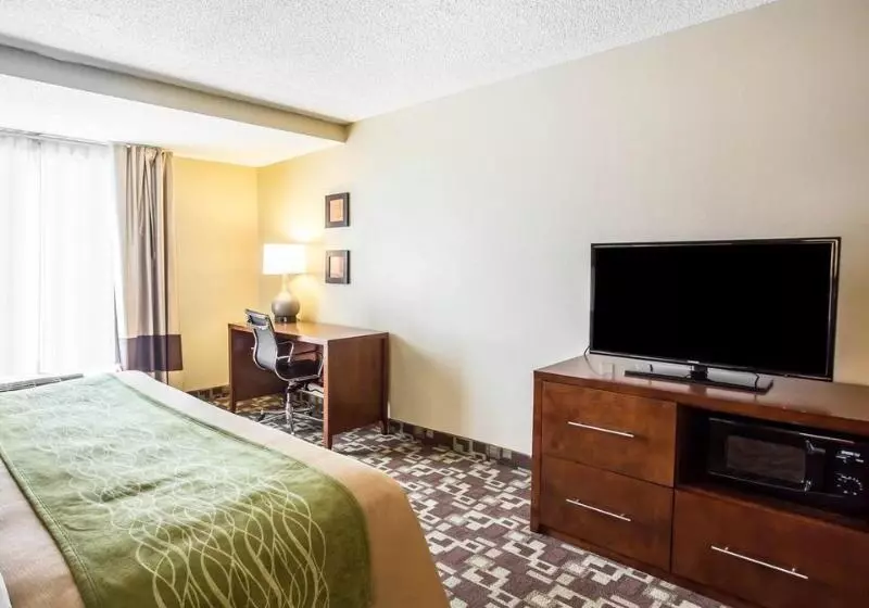 酒店 Comfort Inn & Suites Walterboro I95