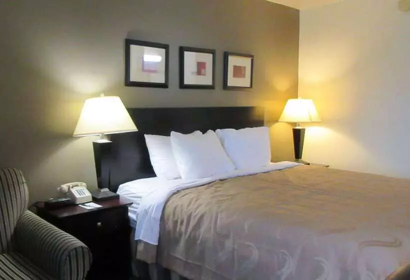 ホテル Quality Inn Longmont