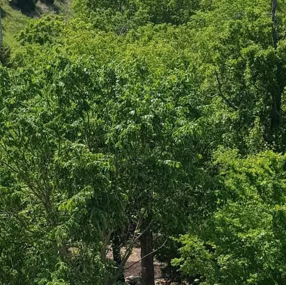 酒店 The Park At Foxborough