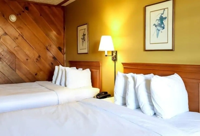 فندق على الطريق Timbers Lodge