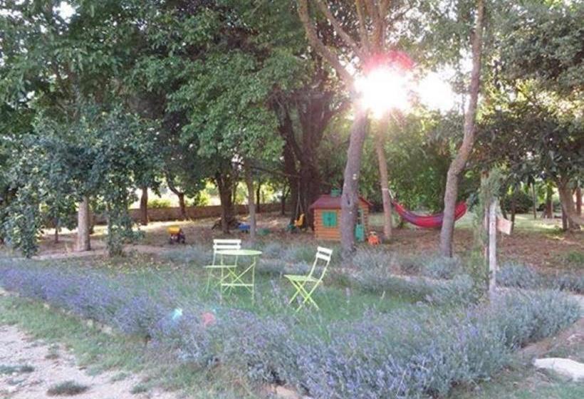 ホテル Agriturismo La Segolina