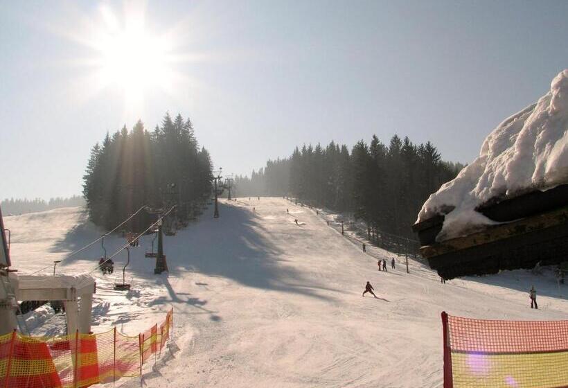 Пансион Penzion Silverado