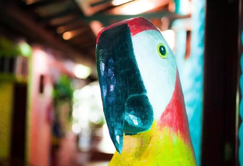 ペンション Pousada Sonho Da Lagoa