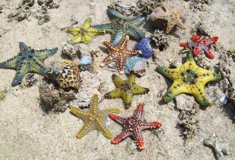 酒店 Chapwani Island