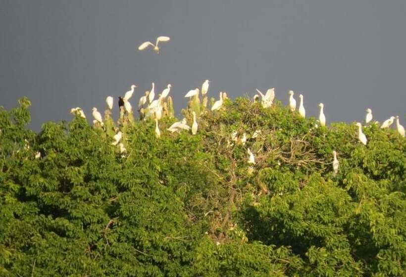 酒店 Chapwani Island