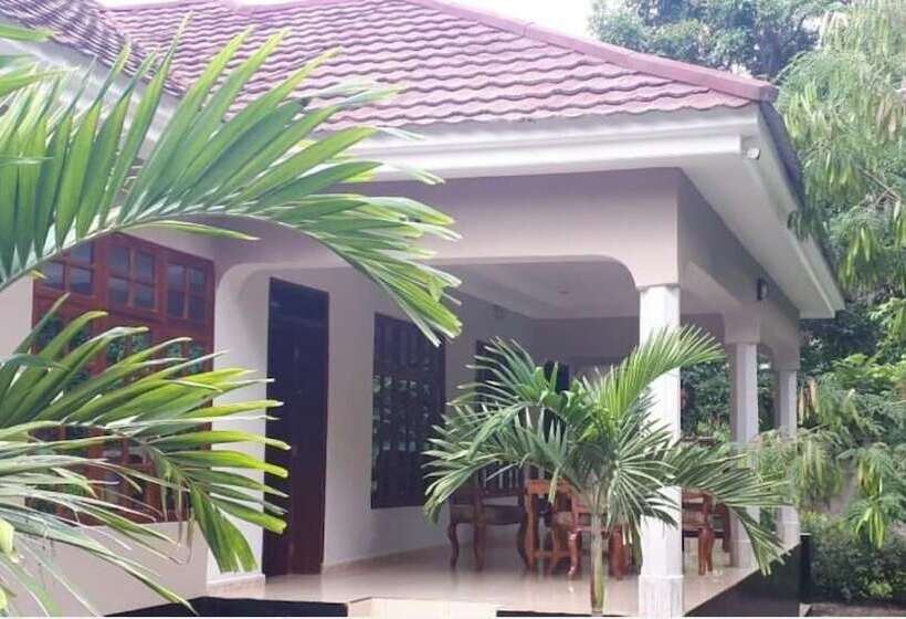 Pension Nyumbani Manor House