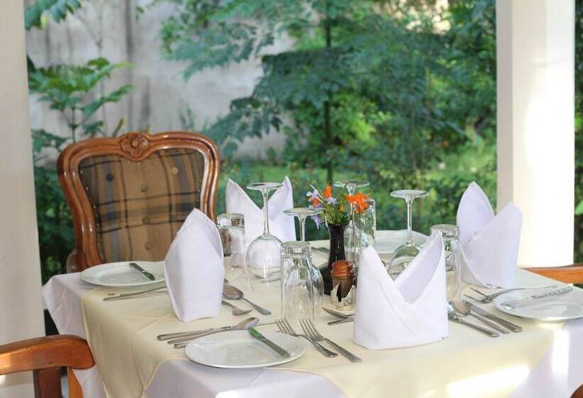 Pension Nyumbani Manor House