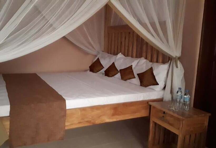 Pension Nyumbani Manor House