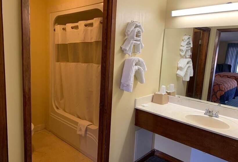 汽车旅馆 Relax Inn & Suites