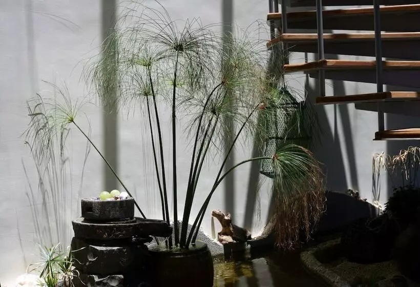 پانسیون Penghu Kite House