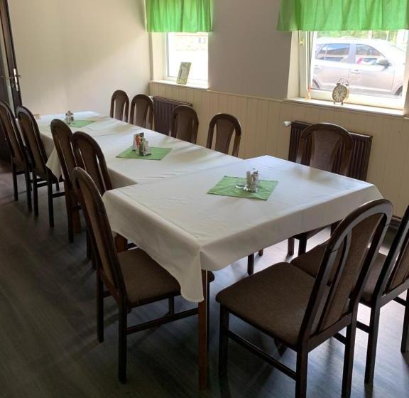 פנסיון Penzion & Restaurace U Vily