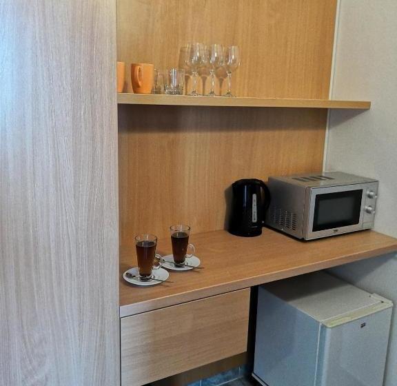 膳宿费 Penzion Sirius