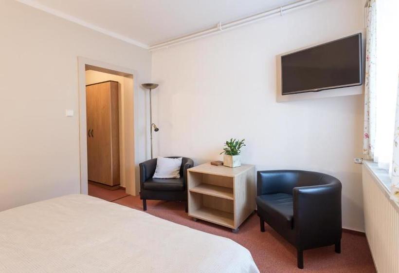 بنسيون Penzion U Kaplicky