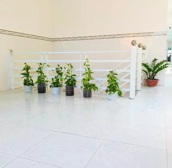 پانسیون Tai Tri Guest House