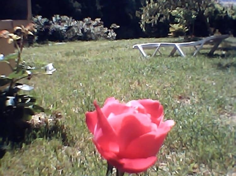 Camping De L Agly. Gites