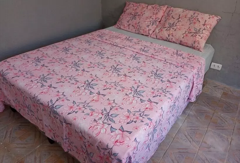 ユースホステル Pousada Vagos De Aveiro