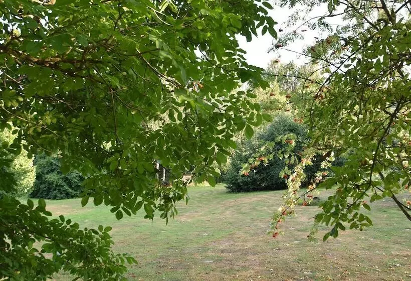 Apartment In Regen With Terrace