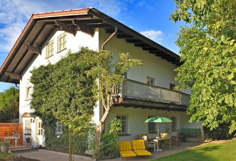 Apartment In Regen With Terrace