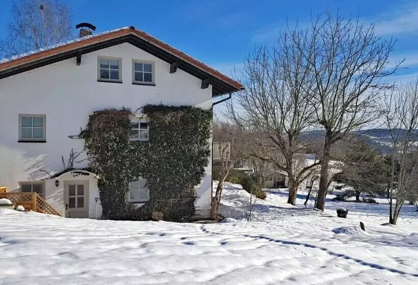 Apartment In Regen With Terrace