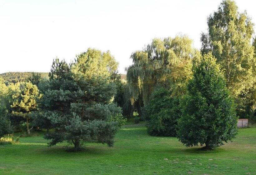 Apartment In Regen With Terrace
