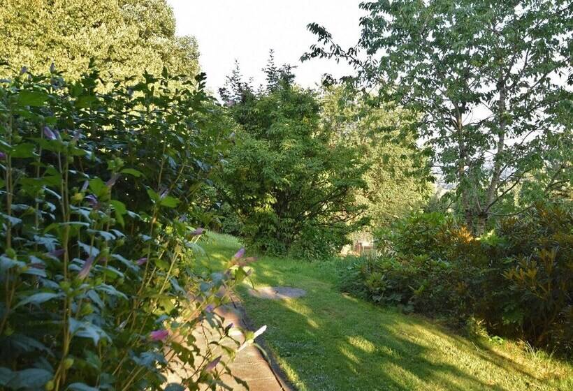 Apartment In Regen With Terrace