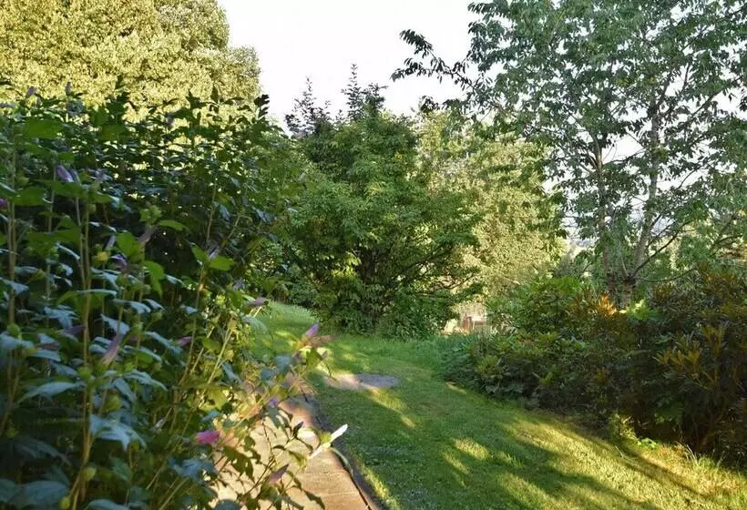 Apartment In Regen With Terrace