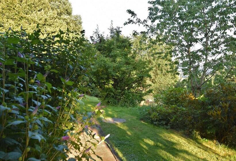 Apartment In Regen With Terrace