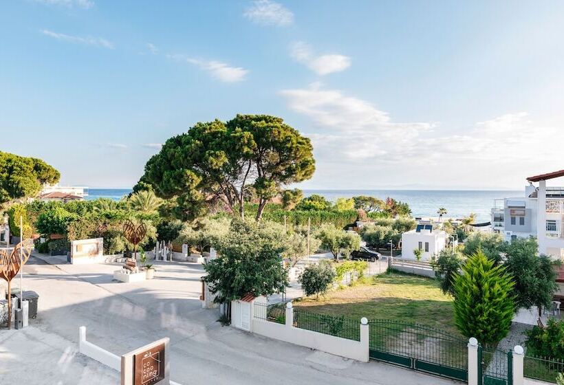 Cocooning Suites By Blue Carpet