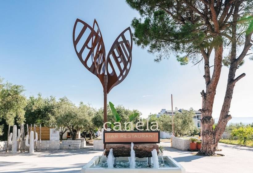 Cocooning Suites By Blue Carpet