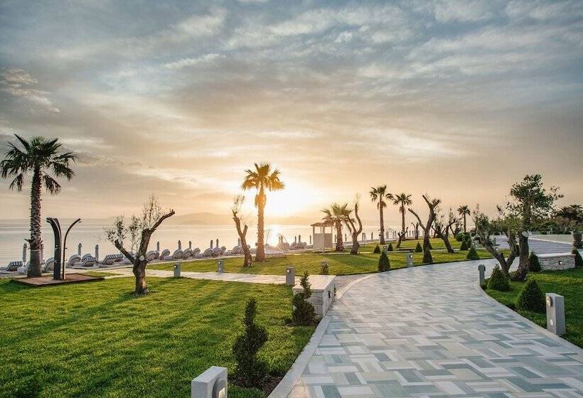 Cocooning Suites By Blue Carpet