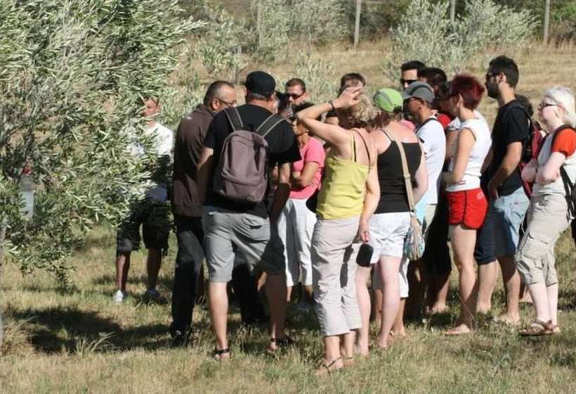 Domaine Oléicole Du Mas Boutet  B&b