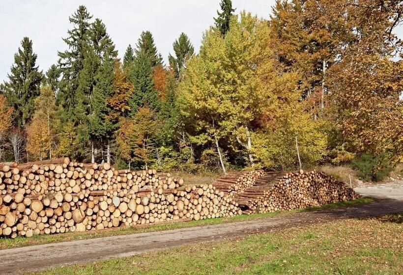 Flat Near The Ski Area In Urberg