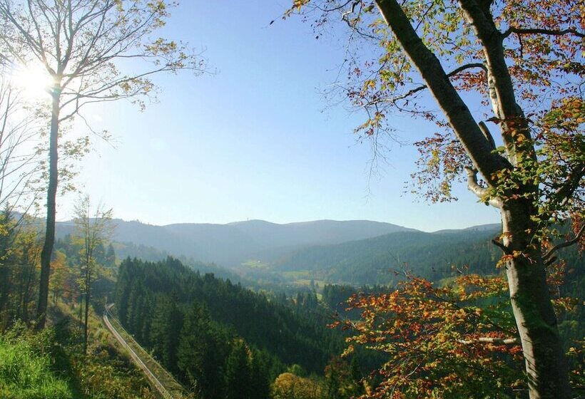 Flat Near The Ski Area In Urberg