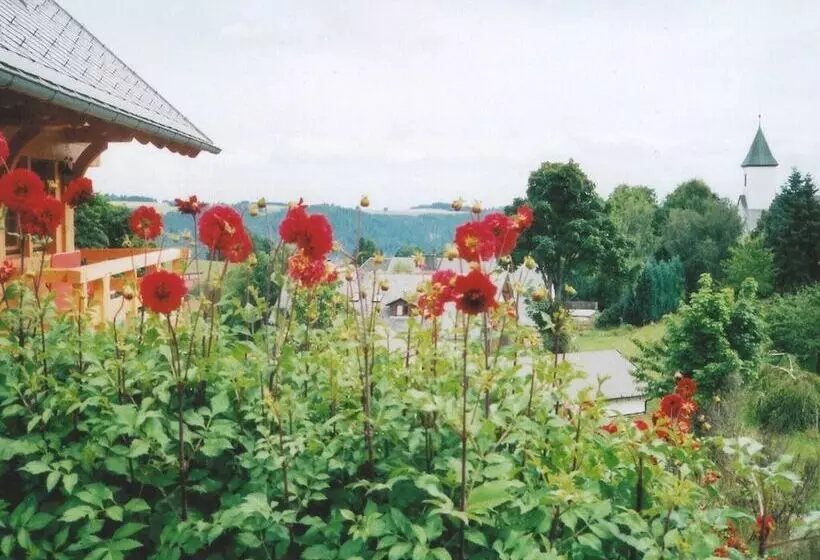 Flat Near The Ski Area In Urberg