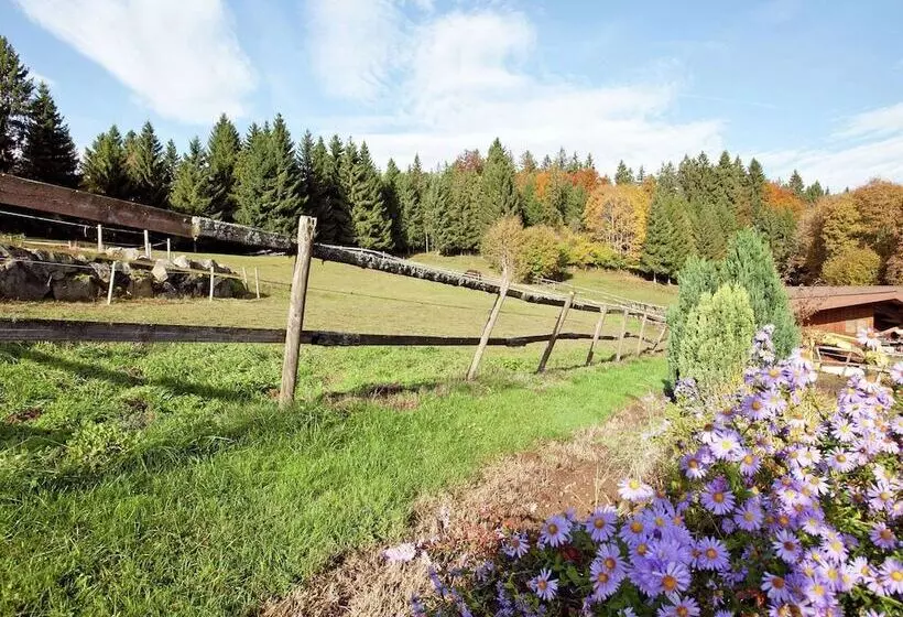 Flat Near The Ski Area In Urberg