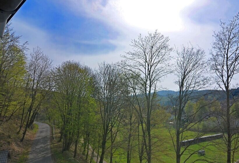 House With Private Sauna Garden And Terrace