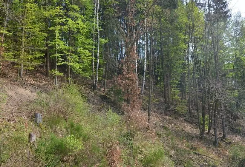House With Private Sauna Garden And Terrace