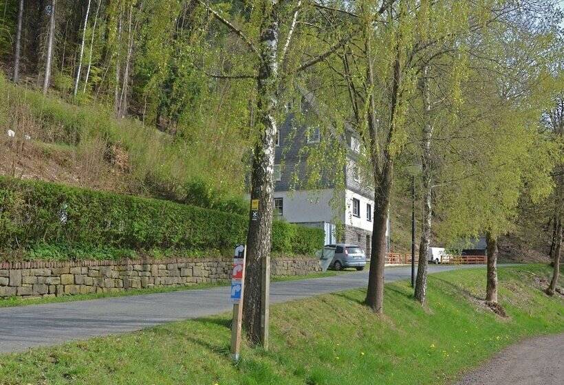 House With Private Sauna Garden And Terrace