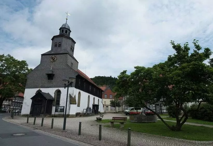 Modern Apartment In Bad Grund Wit Garden
