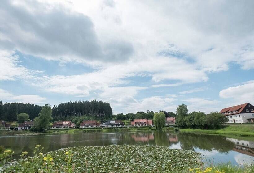 Modern Apartment In Bad Grund Wit Garden